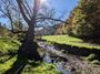 wensburg-5.jpeg